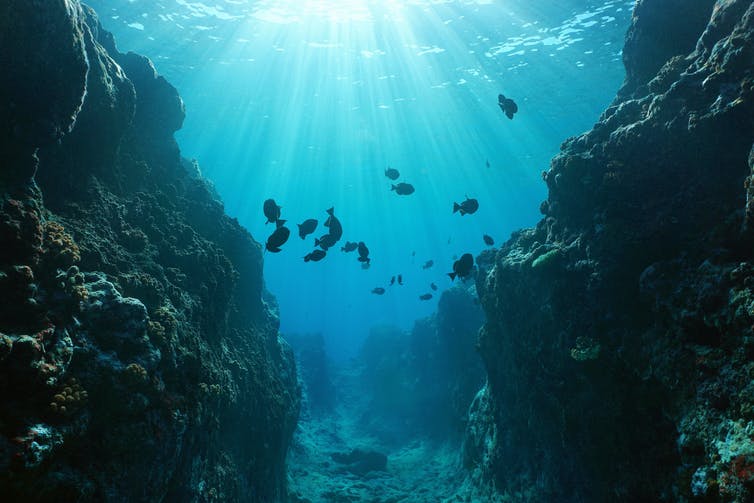 actualidad náutica, noticias náuticas, Menorca, buceo, destino turístico, destino náutico, submarini